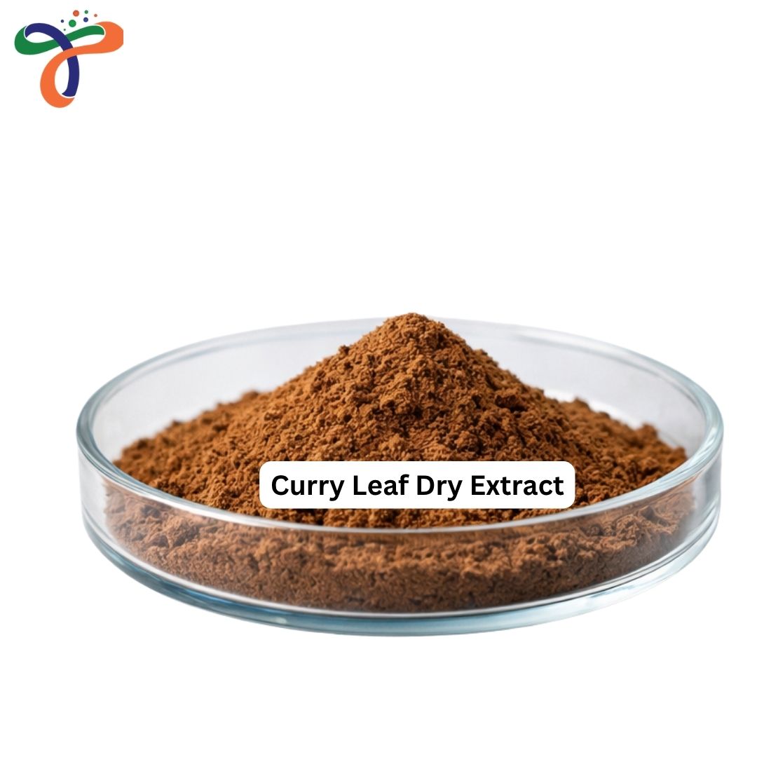 Curry Leaf Dry Extract
